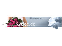 Blumensträuße Online Tschechische Republik